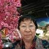 梅子开花头像