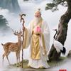 相思雨头像