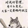 达板城头像