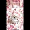 菲菲头像