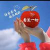 冰山雪菊头像