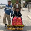 撑伞人志强头像