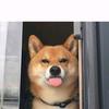 不当人（和平精英头像