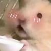 🥱-皖渔-灬🍀.头像