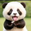 李直气壮🚹头像