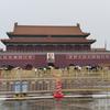 雷哥头像