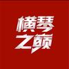 横琴之巅武林风头像