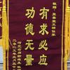 洋洋头像