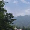 高  兴头像