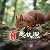 自然快照CNNV头像