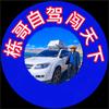 栋哥自驾闯天下头像