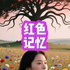窦来逗去讲红色记忆头像