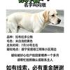 平淡而又普通生活（小超团舞）头像