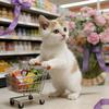猪猫买买买头像