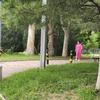 映月清风头像
