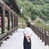 杨慧慧头像
