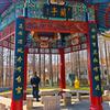 重启人生-阿杜头像