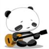 Guitar柳 絮头像