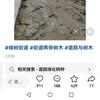 隆友华头像