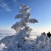 『·冬素雪·』头像