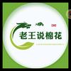 老王说棉花《棉三丰》头像
