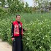 阜阳红娘五姐头像