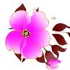 风轻云淡头像