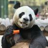 拾一头像