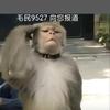 二十七步天注定头像