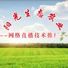 食安天下阳光生态农业店头像