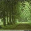 潇风探史修心头像