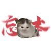 me因斯坦头像