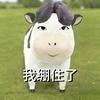 AIKUN人物志头像