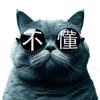猫不懂088头像