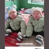 贾玉强头像