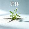 罗林（透析十二年）头像