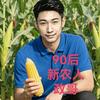 新农人政哥头像