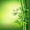 芒果探影头像