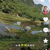 孤岛无月头像