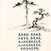 五行养生头像