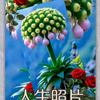 快乐老年人2- 长按复制此条消息，打开抖头像