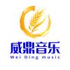 威鼎音乐头像