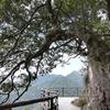 半山听雨头像