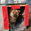 一人渡春秋头像