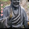 舍得头像