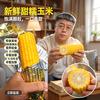 六哥助农头像
