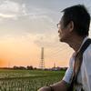 杨培源（八风吹不动罗刹海里寻梦人）头像