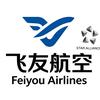 飞友航空头像