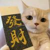 先锋自强不息头像