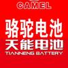 庄寨天能骆驼电瓶头像